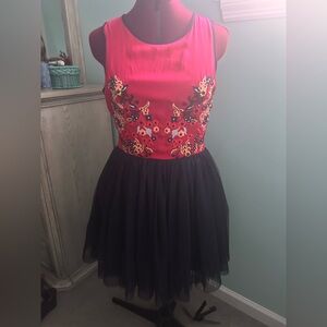 Francesca’s Embroidered Tutu Dress